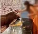 Tirumala woman performs puja to wild boar TTD officials warn over viral video