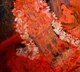 Anjaneya Swamy statue stolen at 7th mile in Tirumala