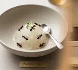 Chef faces trouble for serving ant dish in bizarre Seoul case