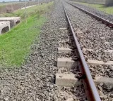 India first railway lion underpass construction completed in Gujarat