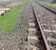 India first railway lion underpass construction completed in Gujarat