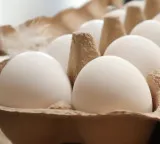 Eggs storage myths about taste and nutrition facts