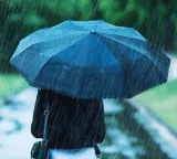 Telangana 5 districts yellow alert heavy rains today