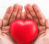 Yale University Research Reveals Heart Has Its Own Mini Brain
