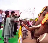 Pawan Kalyan welcomes Kumki elephants at Mangalagiri camp office