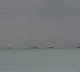 One Indian killed in attack on commercial vessel transiting Black Sea: MEA