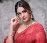 Nidhhi Agerwal waiting for good roles and no rush for marriage