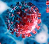 Andhra Pradesh Corona cases rising seven more test positive