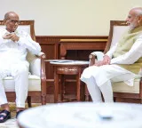Pawar says his talks with PM Modi paved way for Pradhan’s exit