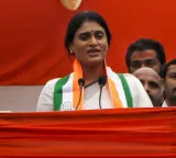 Andhra Congress chief Sharmila recovering after abdominal surgery