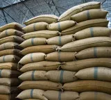 Rejecting TCS Software Job for Rice Business Earning Lakhs