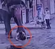 Elephant kills man while feeding jaggery horrifying CCTV footage recorded
