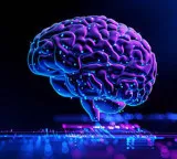 Is human intelligence decreasing Alarming facts revealed in studies