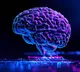 Is human intelligence decreasing Alarming facts revealed in studies
