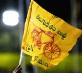 TDP 45 Days Door to Door Campaign Across the State