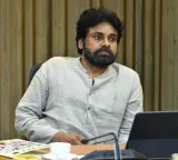 Pawan Kalyan says tiger roar in Nallamala will be made permanent