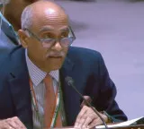 India reaffirms strong support for Palestine, backs two-state solution at UNSC