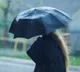 Telangana Orange Alert Issued For Heavy Rains In Several Districts