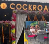 Cockroach Cafe is the name but the interior is like a palace in Bihar