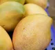 Karnataka Mangoes taste in foreign market first air shipment to Maldives