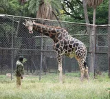 Hyderabad Zoo Park ticket prices hike from today check new rates