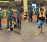 Little boy push ups in front of soldiers netizens praise Little Commando
