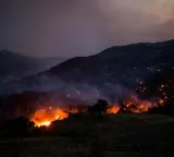 Expert warns Western Europe warming faster than global average as wildfire risk escalates
