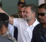 Rahul Gandhi in Chennai to address Cong district chiefs at Mamallapuram camp