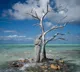 Kale Island story of the island submerged due to climate change
