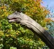 210 Million Year Old Dinosaur in Zimbabwe New Species Discovered