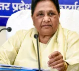 Mayawati expels former MP Ashok Siddharth from BSP again, over indiscipline
