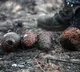 France wildfire havoc uncovers heap of World War II bombs