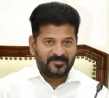 Revanth Reddy meets Union Minister in Delhi