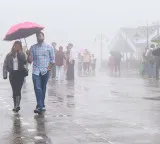 Indian Monsoon Made in India rains without the need for foreign winds