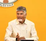 Andhra govt to extend subsidised power to aqua farmers in non-aqua zones