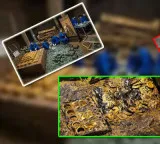27 days of rule and massive treasure in the tomb what is the story