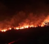 Serbia battles wildfires as extreme heat, drought intensify