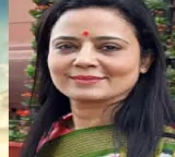 Mahua Moitra Afraid of Eggs After Entering Politics Supreme Court Slams TMC MP