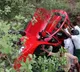 Tirumala Ghat Road accident car falls into valley one dead