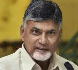 Chandrababu Naidu deposits 179 crore rupees for 71636 handloom beneficiaries