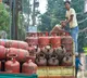 Mahalakshmi Scheme expansion Rs 500 gas for another 5 lakh families