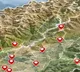 Arunachal Pradesh 27 areas get official names as India counters China map war