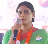 YS Sharmila slams AP coalition government over El Nino impact and agricultural crisis