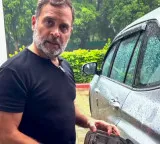 'Car tank was E20 compatible': BJP attacks Rahul Gandhi over fuel video
