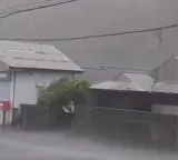 Typhoon Dolphin Rattles China Life in Shanghai Disrupted
