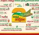 Nara Lokesh issues key orders to ministers as Intintiki TDP reaches 40 lakh houses in 14 days