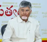 Andhra CM Chandrababu Naidu Announces ₹20 Lakh Aid to Family of Medical Student Priyanka Killed in Rajahmundry Car Accident