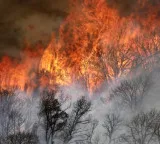 Two killed in helicopter crash fighting wildfire in US state of Utah