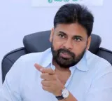 Dr Priyanka death is painful and culprits will be punished says AP Deputy CM