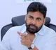 Dr Priyanka death is painful and culprits will be punished says AP Deputy CM